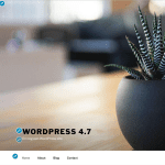 WordPress 4.7 custom css