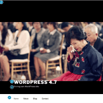 WordPress 4.7 - customizer - Video Header