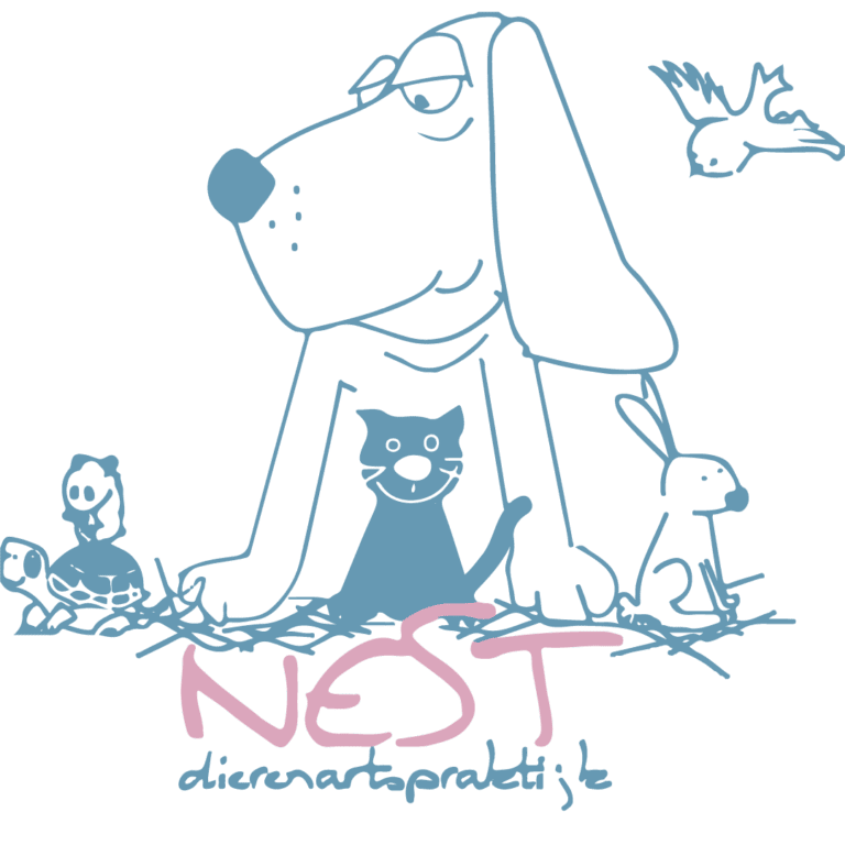 Realisatie Made I.T. - Website laten maken 